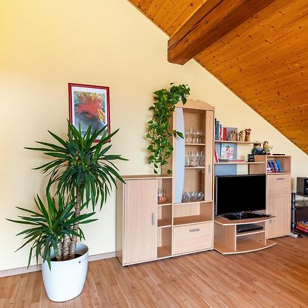 Marlene Apartment Friesenheim  Luaran gambar